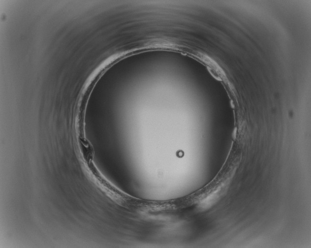 X0000087640947200705031507