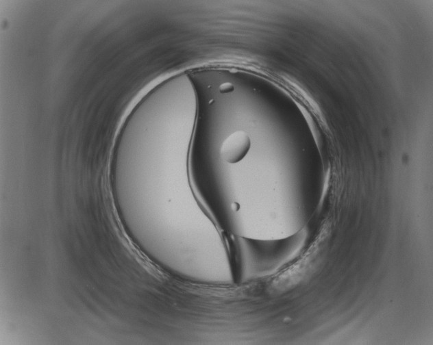 X0000087640948200705031507