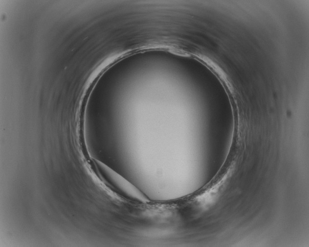 X0000087640949200705031507