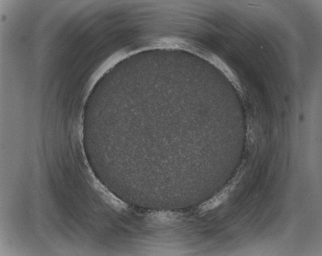 X0000087640950200705031507