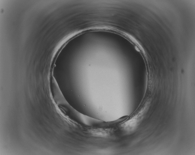 X0000087640951200705031507