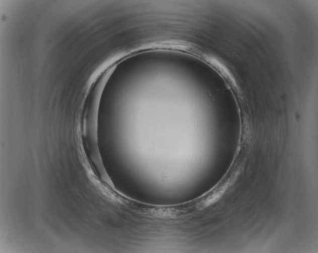 X0000087640952200705031507