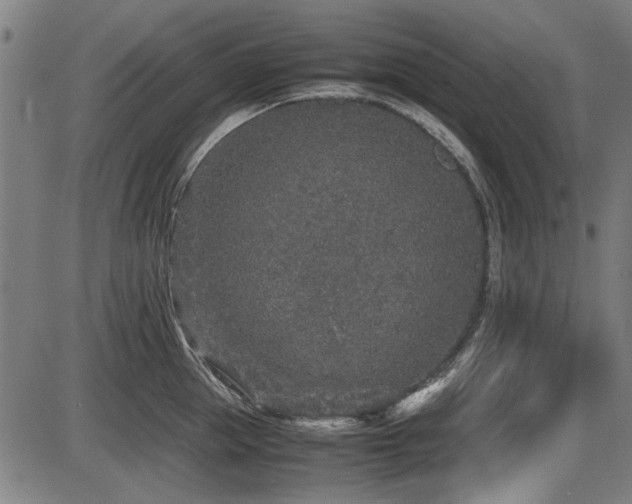 X0000087640953200705031507