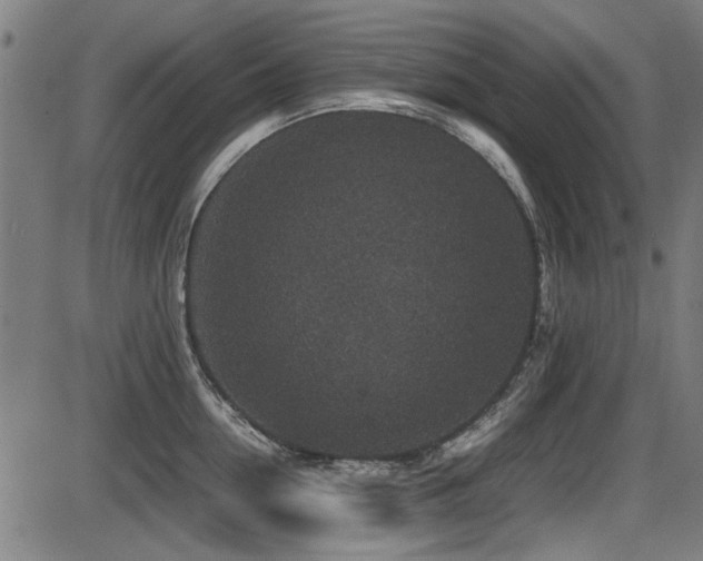 X0000087640954200705031507