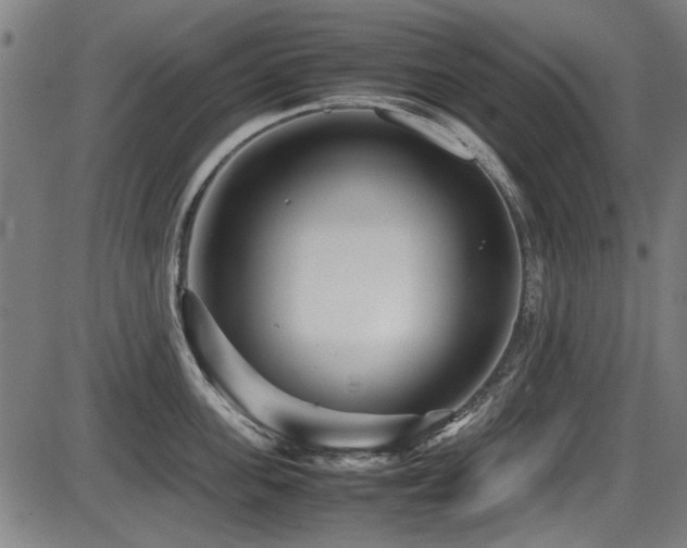 X0000087640955200705031507