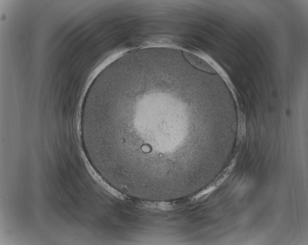 X0000087640957200705031507