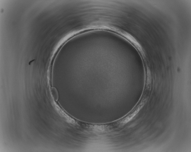 X0000087640958200705031507