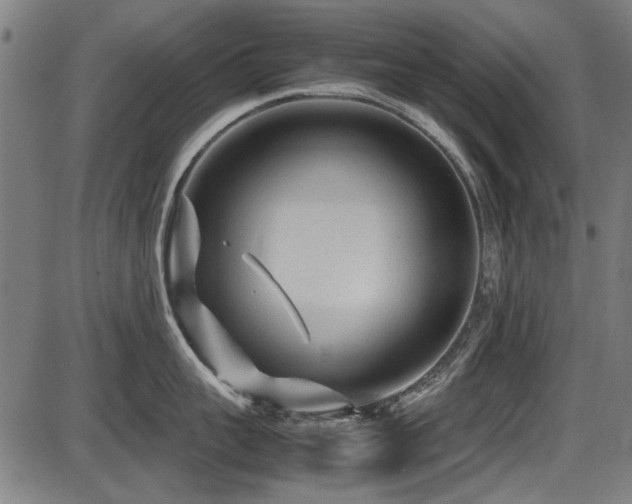 X0000087640959200705031507