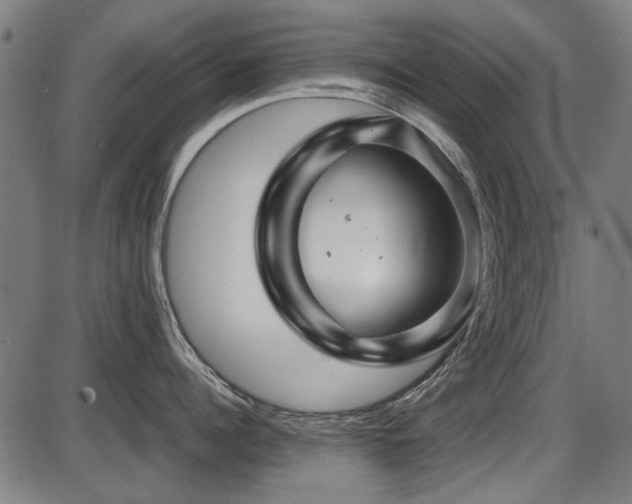 X0000087640960200705031507