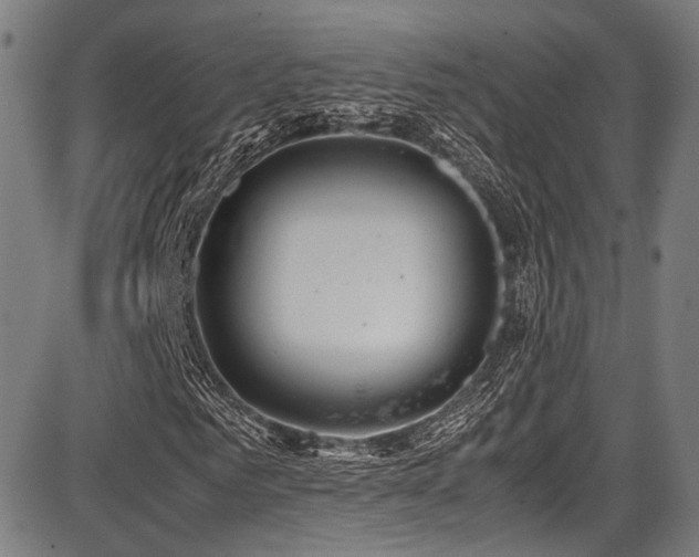 X0000087640961200705031506