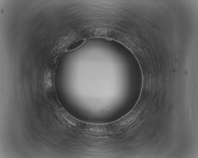 X0000087640962200705031506