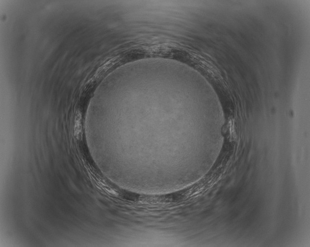 X0000087640963200705031506