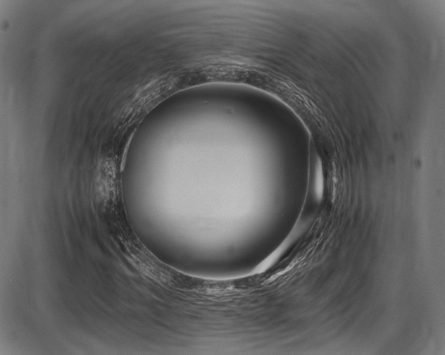 X0000087640964200705031506