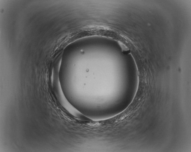 X0000087640965200705031506