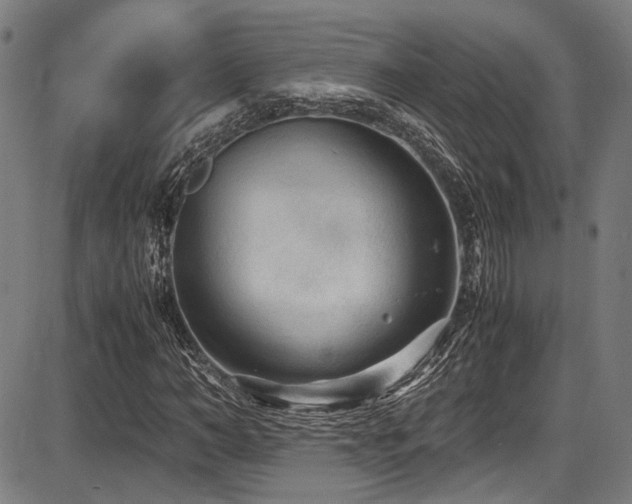 X0000087640966200705031506