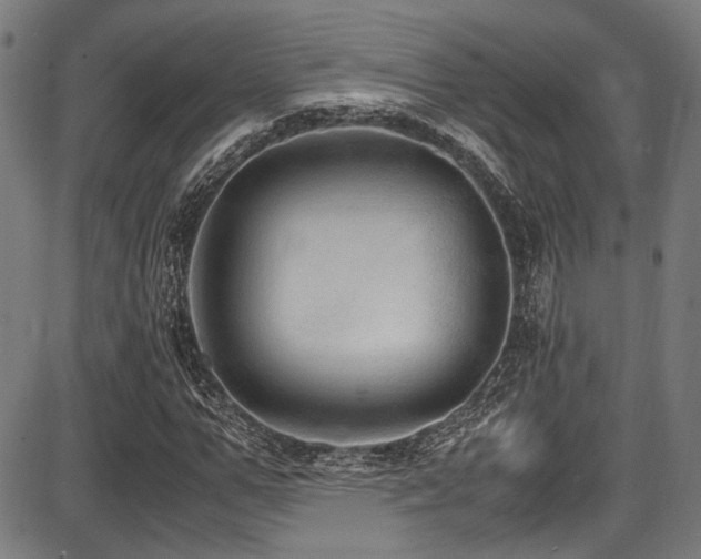 X0000087640967200705031506