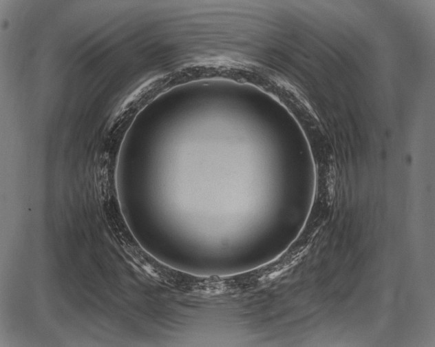 X0000087640968200705031506