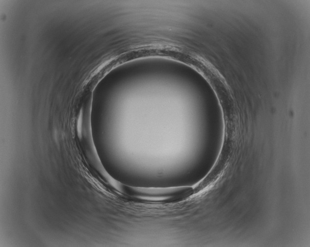 X0000087640969200705031506