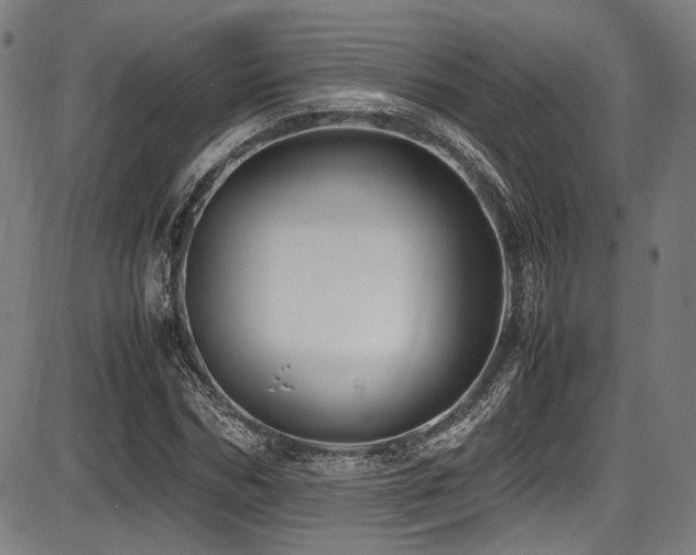 X0000087640970200705031506