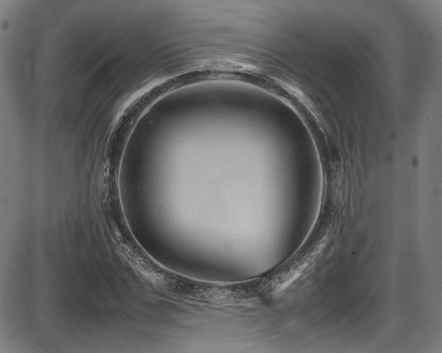 X0000087640971200705031506