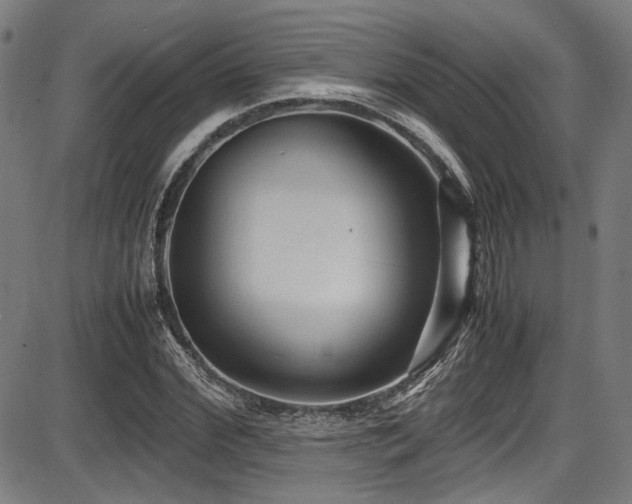 X0000087640972200705031506