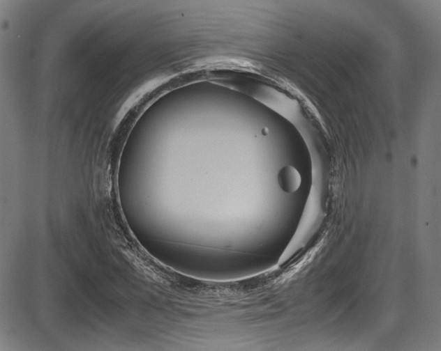 X0000087640973200705031506