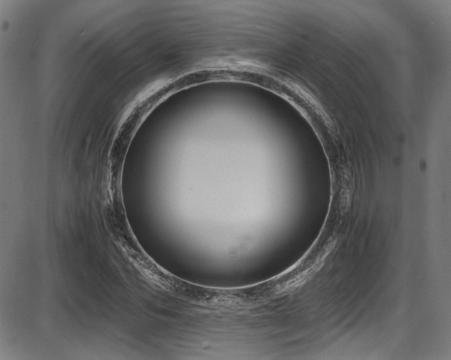 X0000087640974200705031506