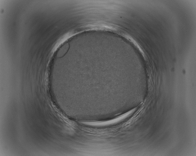 X0000087640975200705031506