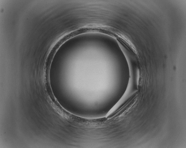 X0000087640976200705031506