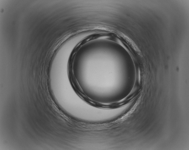 X0000087640977200705031506