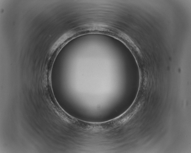 X0000087640978200705031506