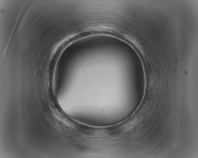 X0000087640979200705031506