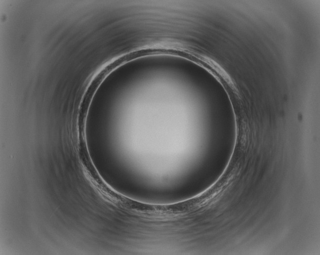 X0000087640980200705031506