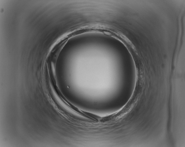 X0000087640981200705031506