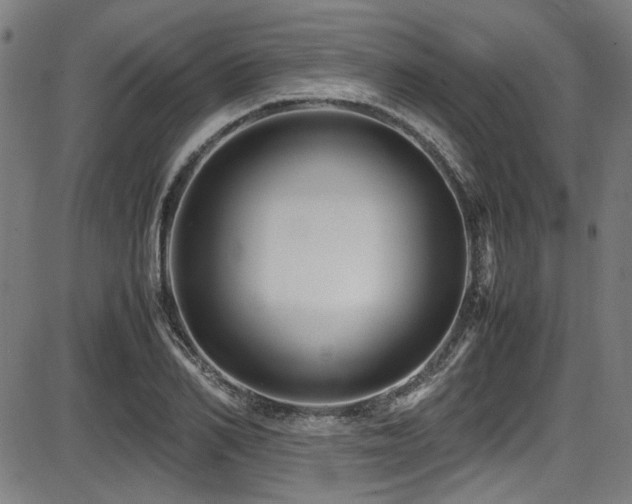 X0000087640982200705031506