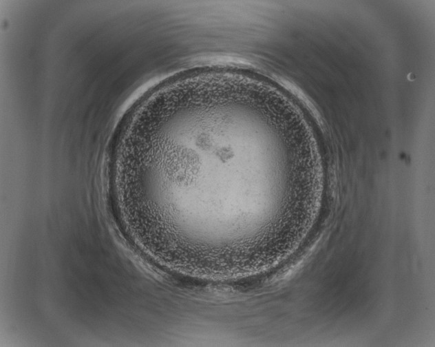 X0000087640983200705031506