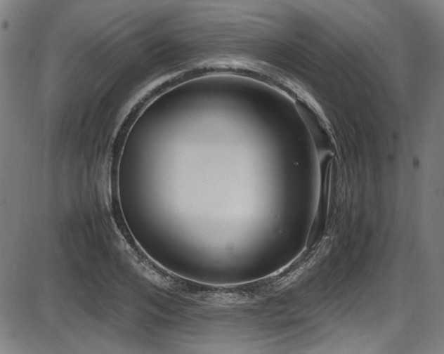 X0000087640984200705031506