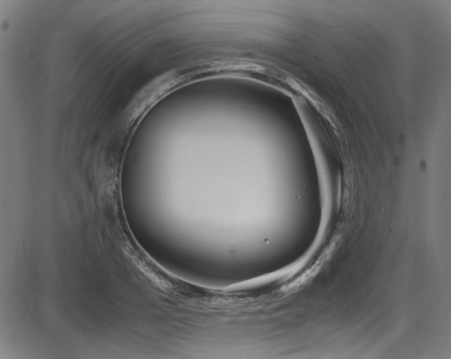 X0000087640985200705031506