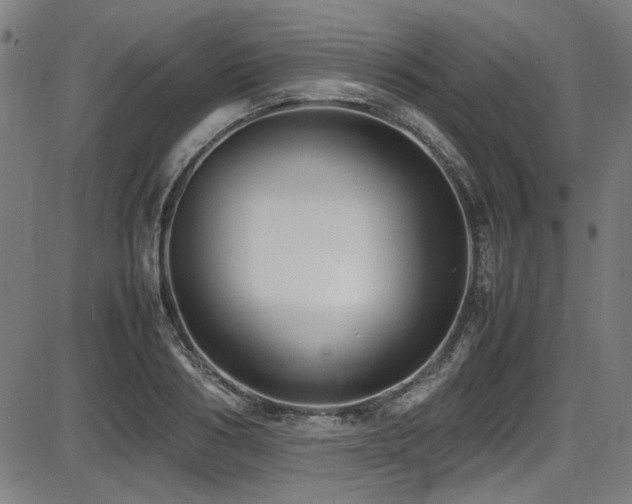 X0000087640986200705031506