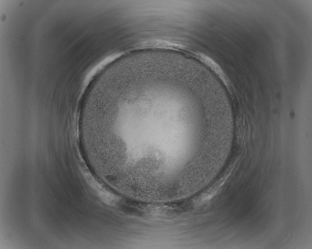 X0000087640987200705031506