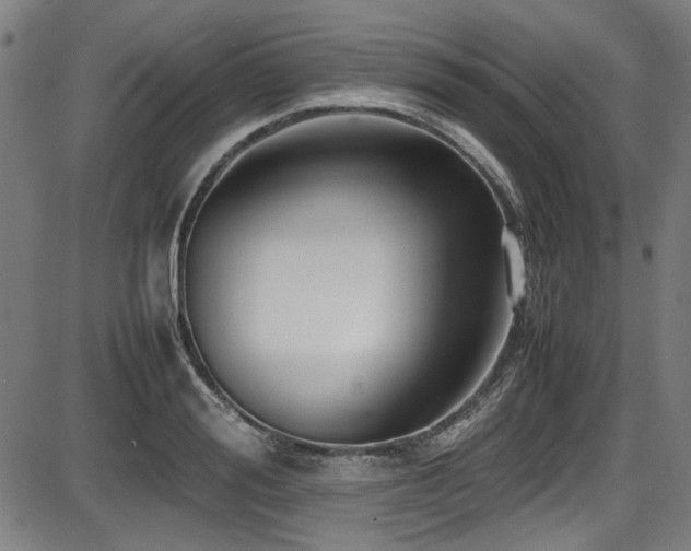 X0000087640988200705031506