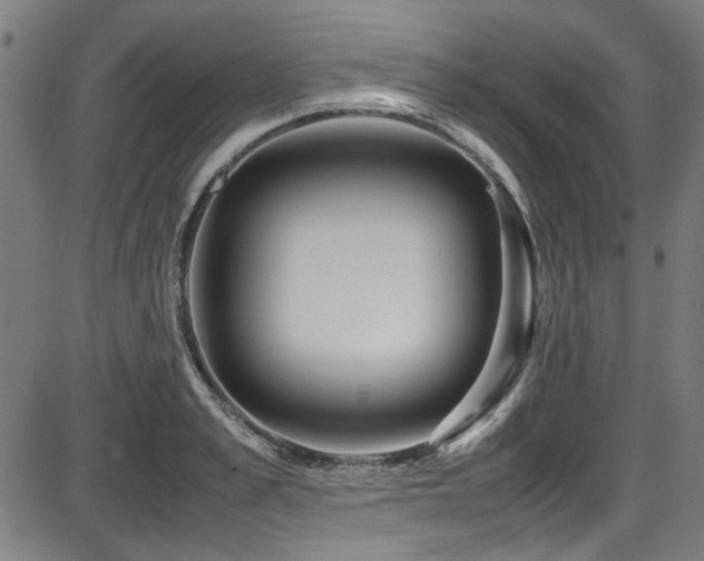 X0000087640989200705031506