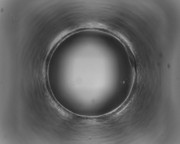 X0000087640990200705031506