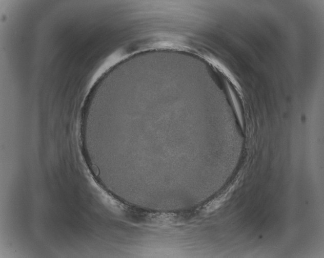 X0000087640991200705031506