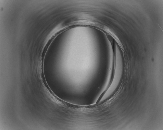 X0000087640992200705031506