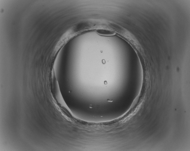 X0000087640993200705031506