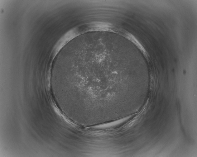 X0000087640994200705031506