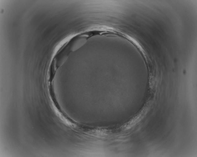 X0000087640995200705031506