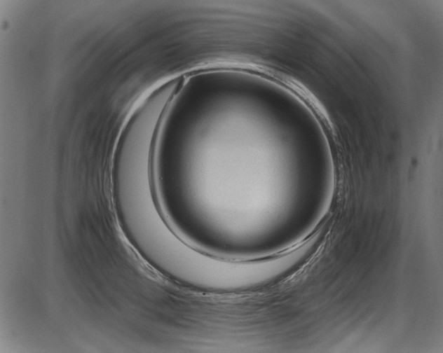 X0000087640996200705031506