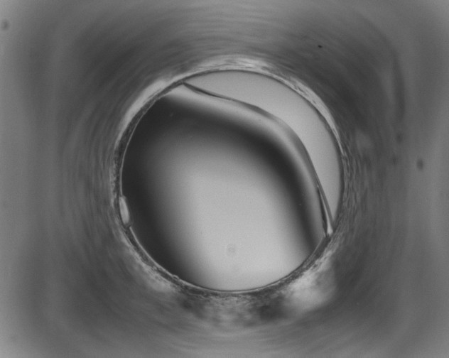 X0000087640997200705031506